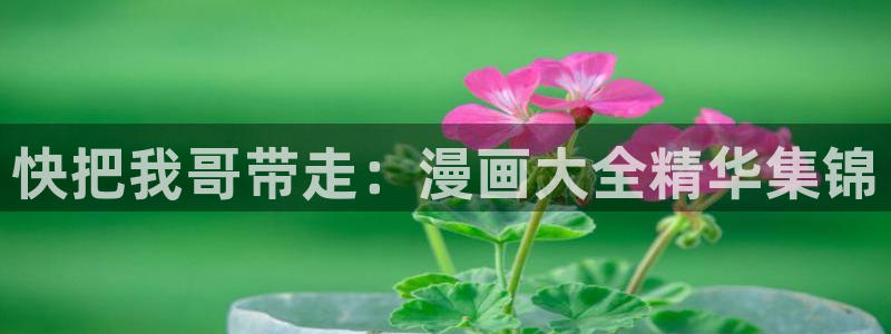 羞羞漫画真人版在线观看