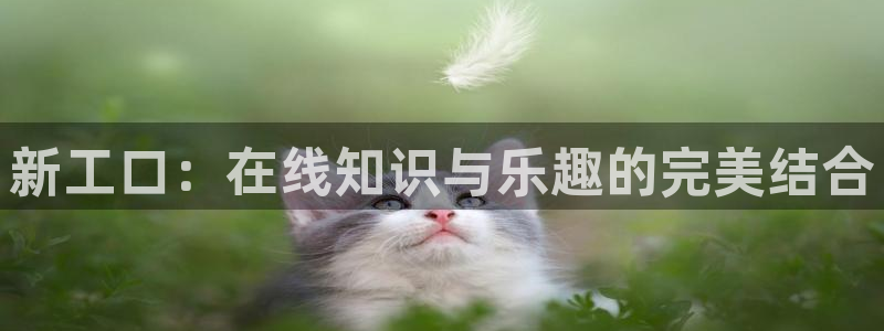 羞羞漫画无限免费阅读
