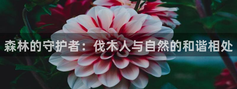 羞羞漫画入口免费看：森林的守护者：伐木人与自然的和谐相处