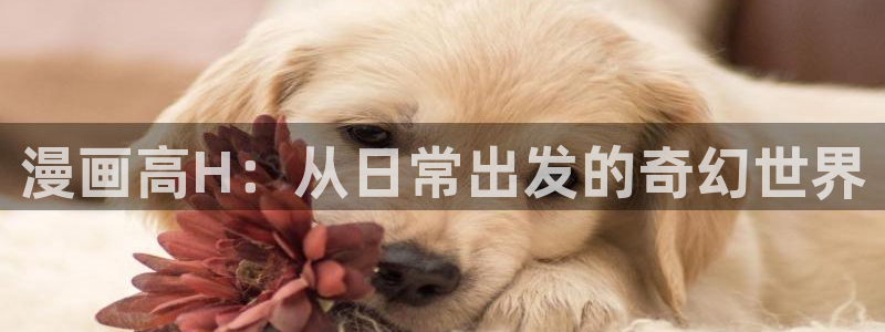 羞羞漫画免费官网入口：漫画高H：从日常出发的奇幻世界
