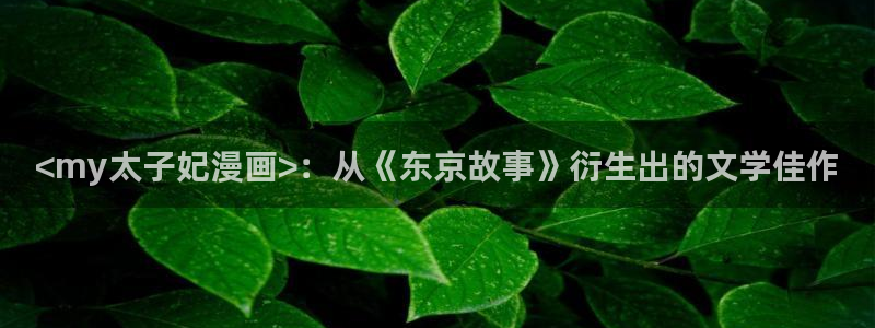 羞羞漫画免费阅读网站入口：<my太子妃漫画>：从《东京故事》衍生出的文学佳作