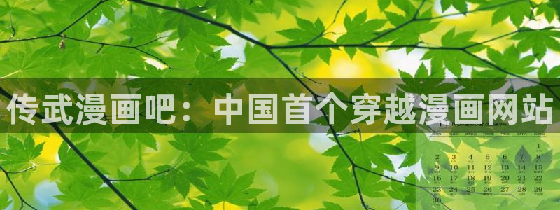 羞羞漫画网页进入：传武漫画吧：中国首个穿越漫画网站