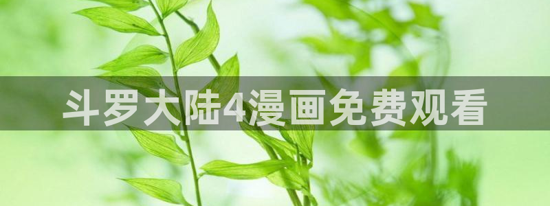 嗯啊羞羞漫画：斗罗大陆4漫画免费观看