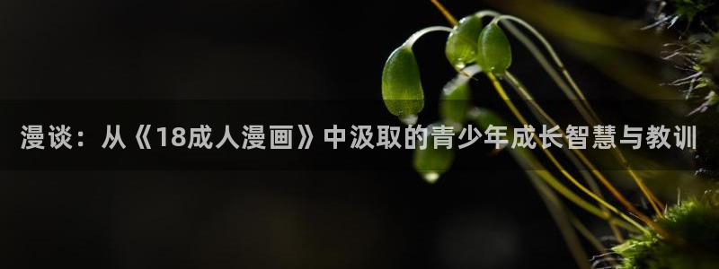 羞羞漫画sss在线入口：漫谈：从《18成人漫画》中汲取的青少年成长智慧与教训