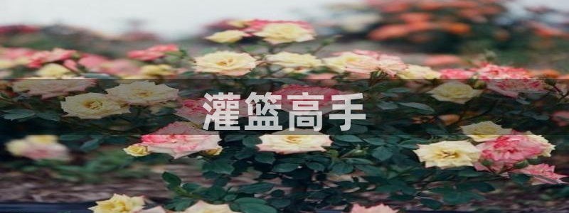 羞羞漫画ss：灌篮高手