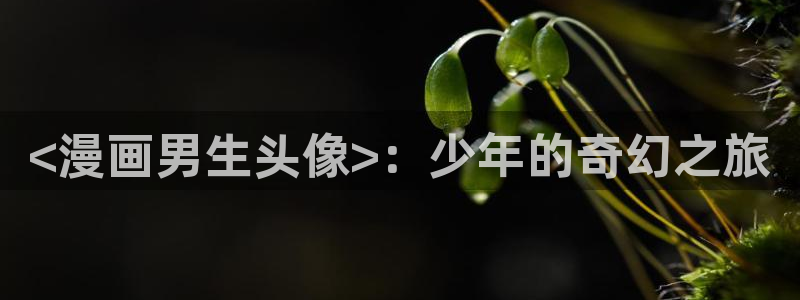 羞羞漫画在线入口ios