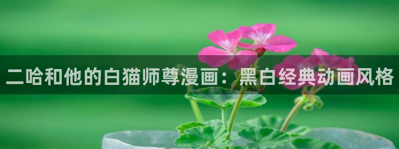 羞羞漫画cc