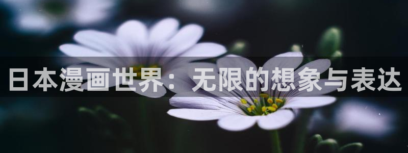 羞羞漫画韩漫无遮挡：日本漫画世界：无限的想象与表达