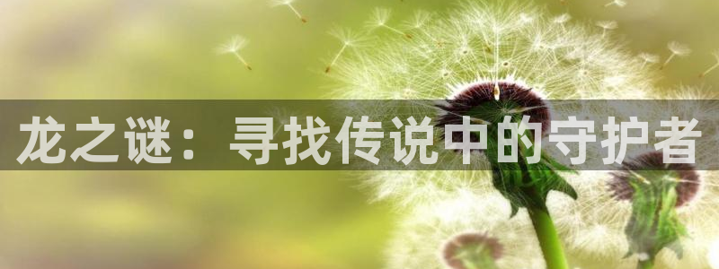 成羞羞漫画：龙之谜：寻找传说中的守护者
